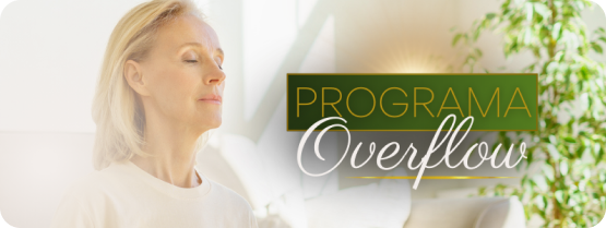 Programa Overflow